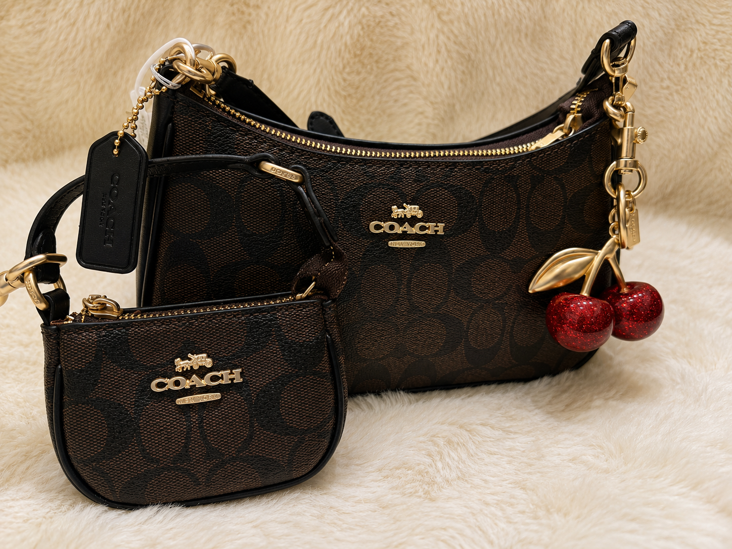 Coach Brown - Image 3